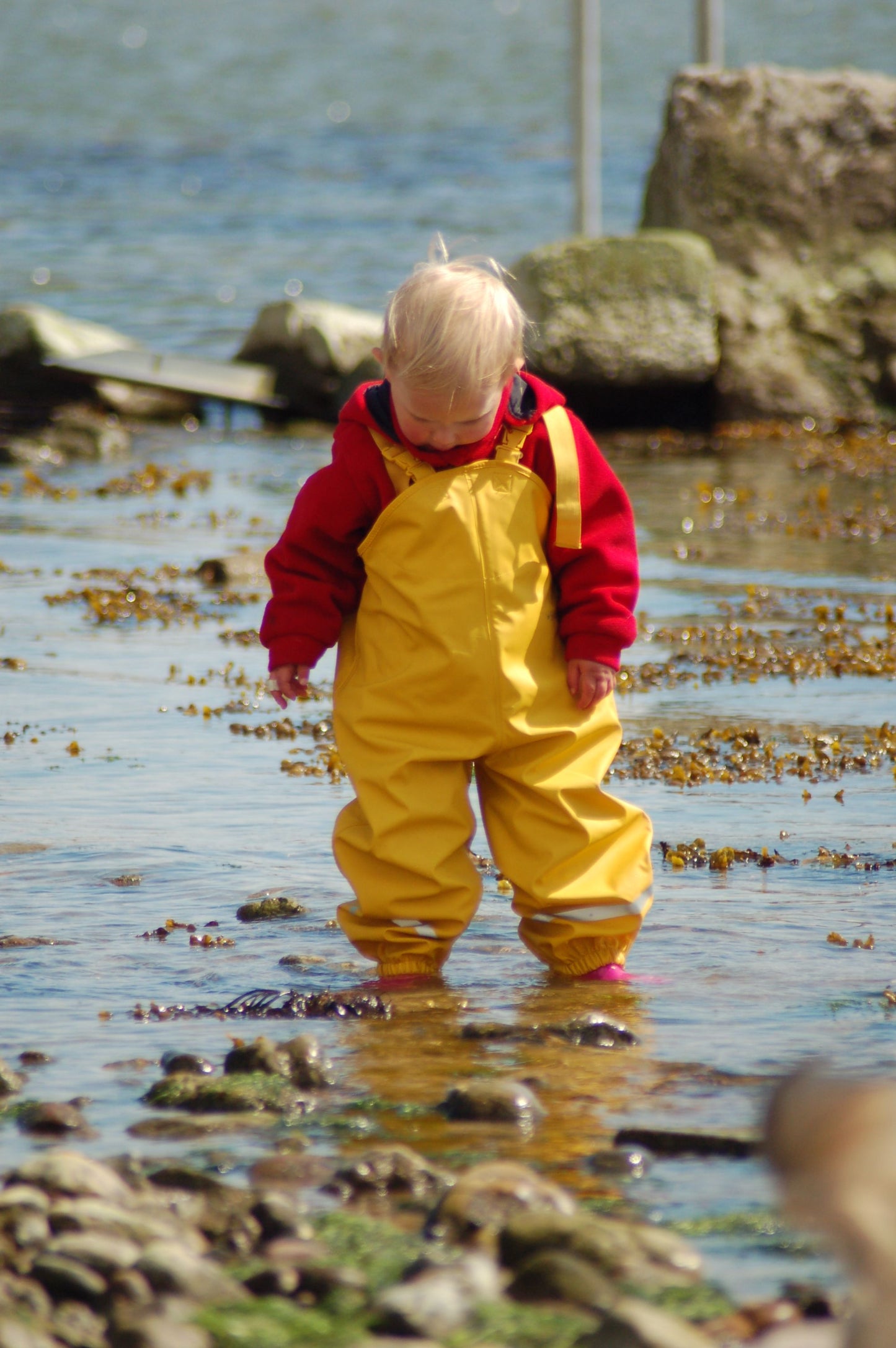 BMS Kids Rain Overall - 100% waterproof-Yellow